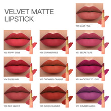 Load image into Gallery viewer, Velvet Matte Lipstick
